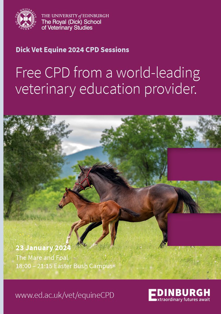 Dick Vet Equine tweet media