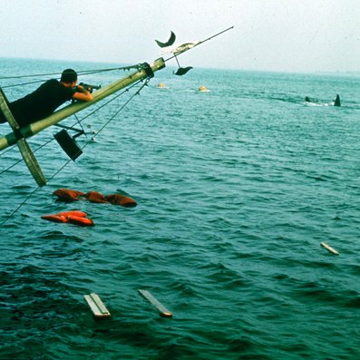 Atelier FDI tweet media