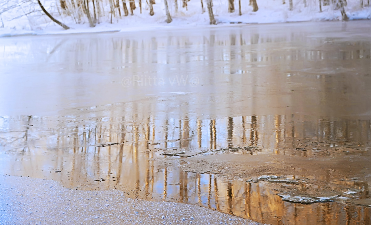 #NaturePhotography  #winter #WinterWonderland #Finland #Suomi #suomalainen #luontokuva #talviluonto #naturephoto #thisisfinland #luonto #landscape #valokuvaus #photography #suomenluonto #thebestoffinland #discoverfinland #ourfinland #landscapephoto #discoverfinland #nature #ice🇫🇮