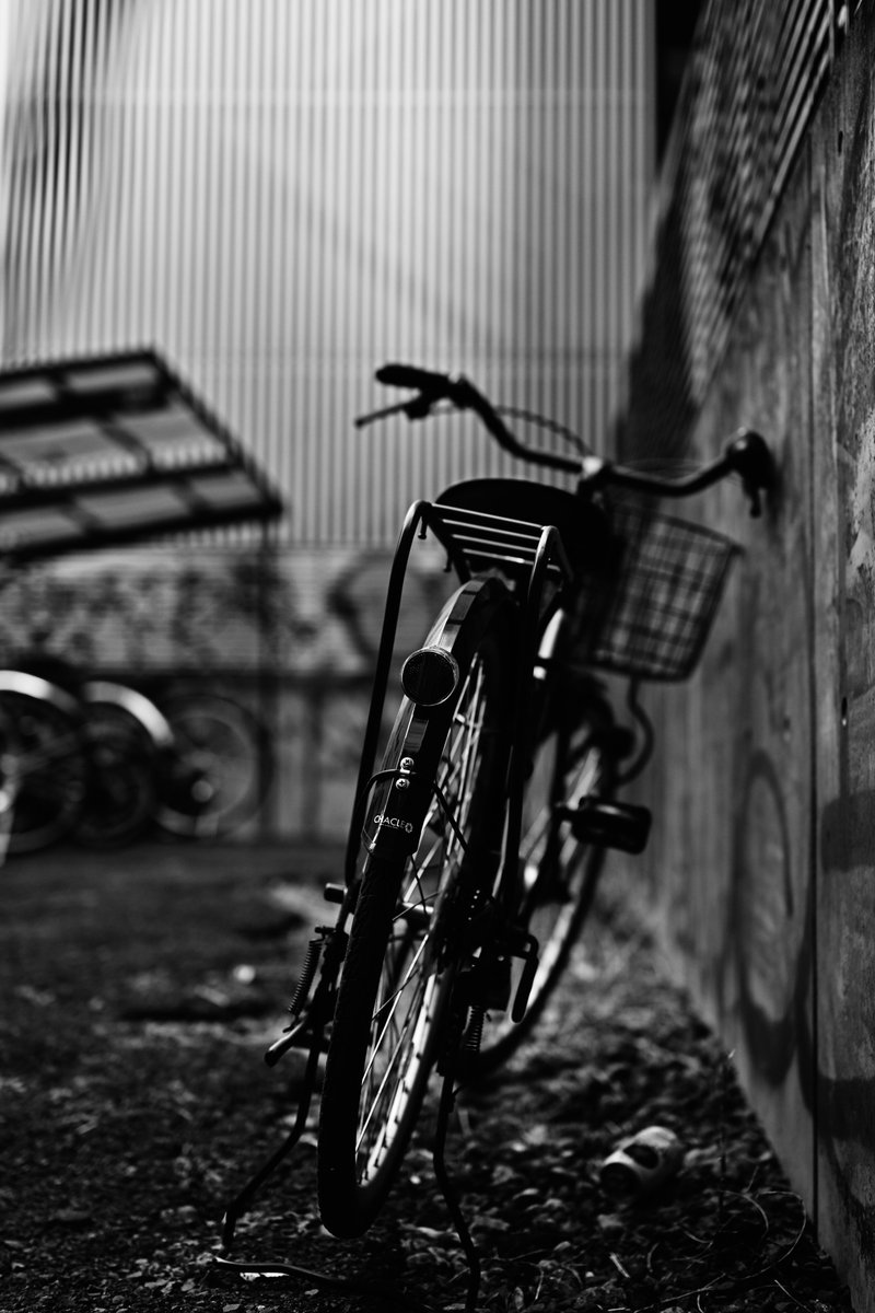 ether_nopqr's tweet photo. MONO GRAPHY さんとHuBaseさんのコラボ企画のフォトウォーク、お疲れ様でした!とっても楽しかったです。上田先生コムロ先生に設定も教わりつつ、光の入るところや影を探したり、他の参加者さんの目線や設定もとても勉強になりました。
#monobase
#monobase1221 https://t.co/3WFS9gvrWt
