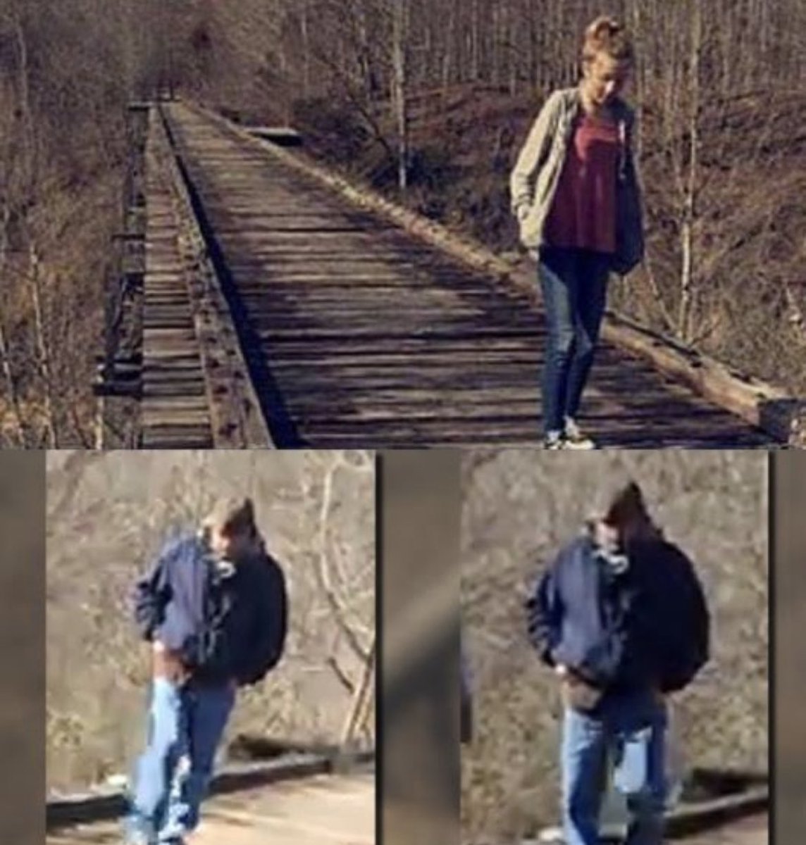 In 2016, 13-year-old Abigail Williams and her friend Libby German vanished while walking on a hiking trail in Delphi, Indiana. Tragically, their lifeless bodies were discovered the following day. 

Libby's phone contained the last known photo of Abby, along with images of an