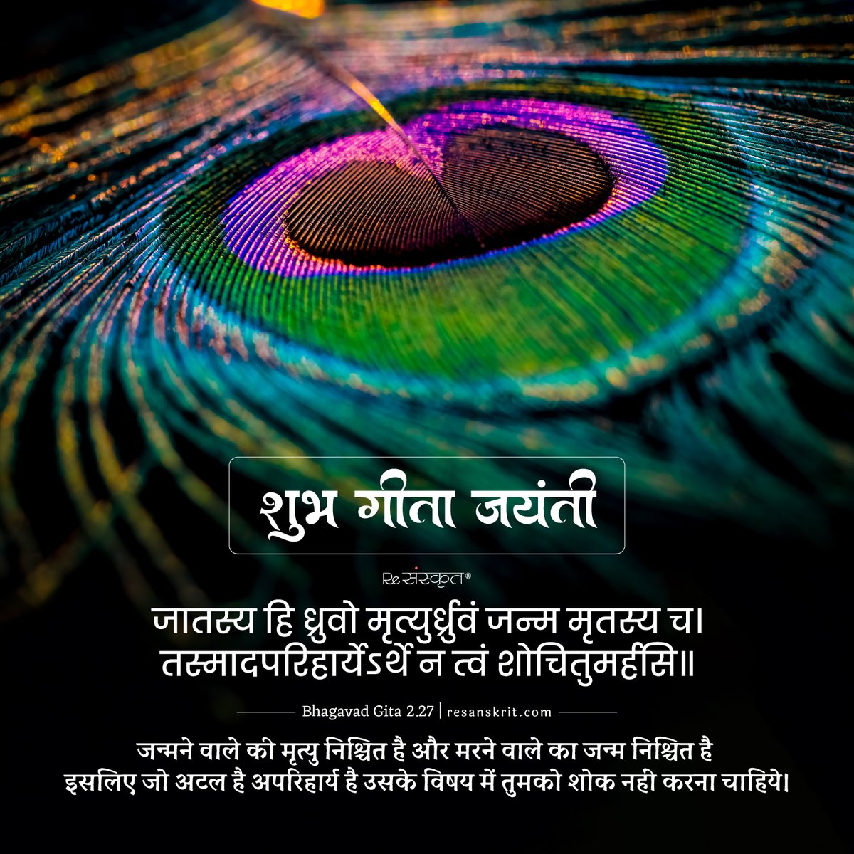ReSanskrit's tweet image. शुभ गीता जयंती।

#gitajayanti #bhagavadgitajayanti #jayshreekrishna #krishna #vrindavan #resanskrit #lordkrishna #harekrishna #iskon #festival #sanskrit #india