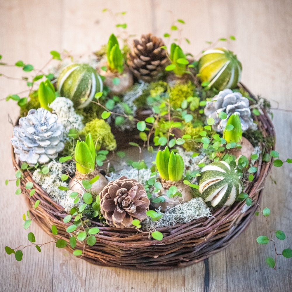 Hyacinth bulb planters, the perfect 'Twixmas' gift ✨

Moutan Hartley Wintney &amp; Odiham flower shops open today, Friday 29th December, 9am-5pm

#MoutanFlowers #twixmas #hyacinthbulbs #hyacinthbulbplanters #Moutan #HartleyWintney #Odiham #Farnham
