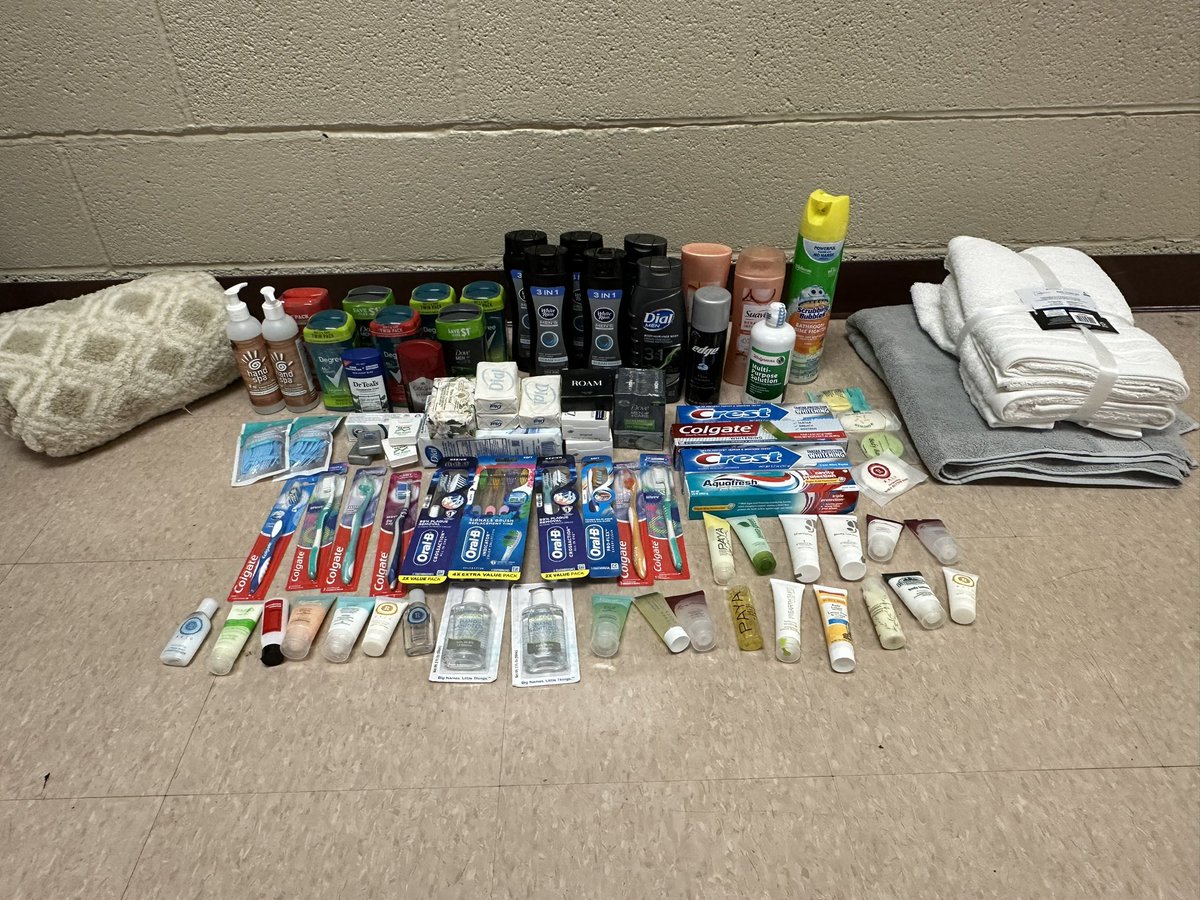 Thank you to all the students that donated in this year’s National Honor Society household item drive! #NationalHonorSociety #MHSNHS #MustangPride