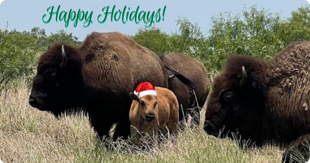 TTBP wishes everyone a safe and happy holiday season!