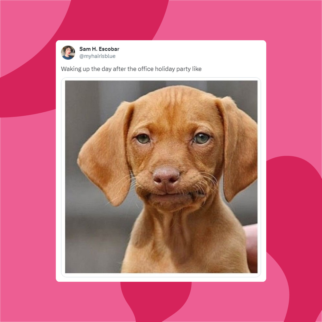 There’s no need to be ruff this festive party season…  🐶