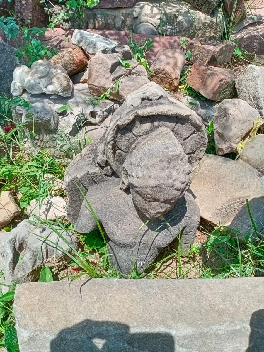 उत्तर प्रदेश में जिला आगरा की तहसील बाह के जैतपुर ब्लॉक में ग्राम गढ़वार में जैन प्रतिमाएं प्राप्त हो रही है, सम्भवतः यहां बड़ी संख्या में प्रतिमाएं व जैन मंदिर के अवशेष भी प्राप्त हो सकते हैं । लोकल जैन समाज कृपया संज्ञान लेवे । जानकारी हेतु बहन जिग्ना शाह जी (गुजरात) का धन्यवाद