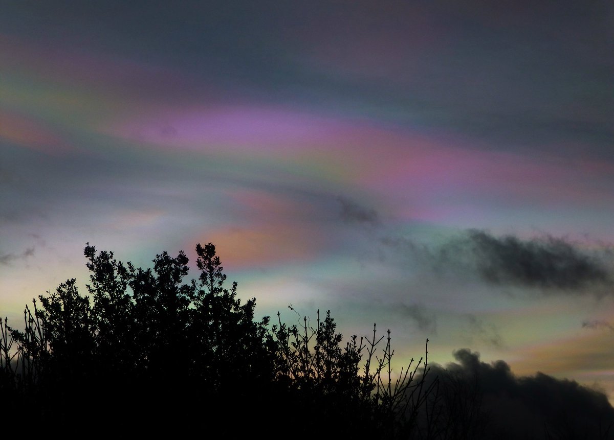 My last Nacreous cloud shot from today 😍 Lethen Nairn Scotland @StormHour @BBCHighlands @BBCScotWeather @CloudAppSoc @metoffice #Nacreousclouds @BBCSpringwatch