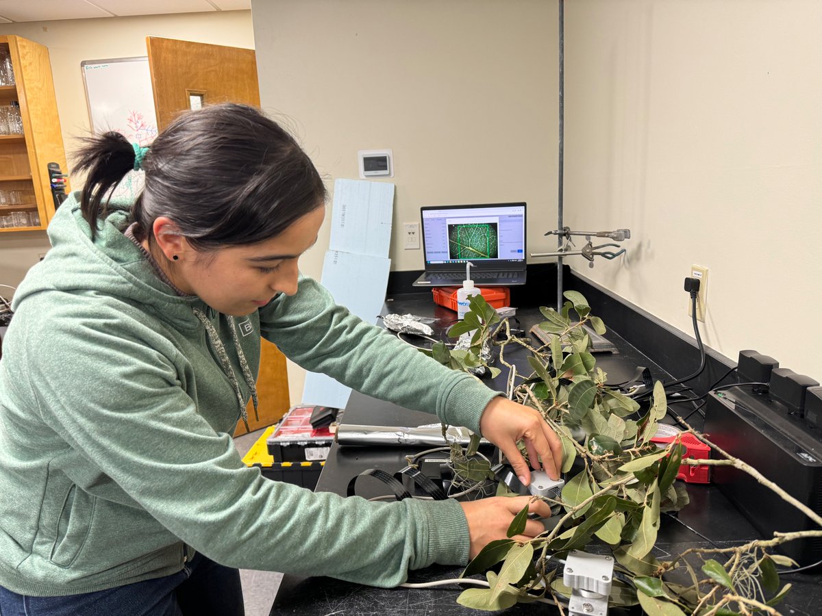 Today marks the end of @Lauvca's visit to my lab as a Fulbright scholar. During her visit, Laura got to learn some new methods, make progress on analysis of her experiments, and most importantly gain an entire new #PhysFam here in Florida! We are going to miss you, Laura!