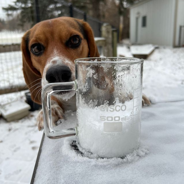 In the spirit of the season, our team is eagerly counting down to Christmas, and the excitement is contagious! 🌟📆🎁

#Christmas #EiscoScientific