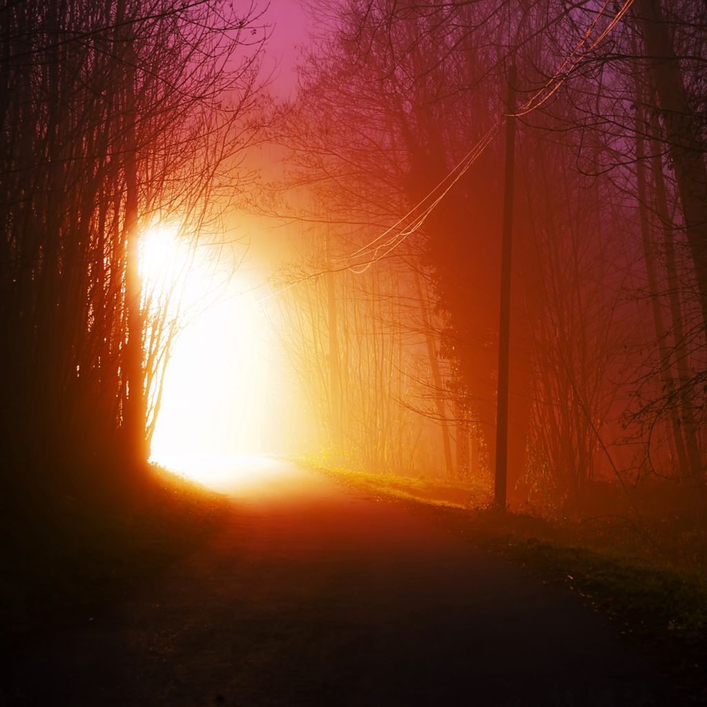 natuerlichjagd's tweet image. Zum zweiten Mal innerhalb kurzer Zeit explodiert ein #Hochsitz in #Thüringen durch einen improvisierten #Sprengsatz: Das lässt eher Jagdgegner als einen Zufall vermuten!#Explosion 💣
natuerlich-jagd.de/news/erneut-ho…