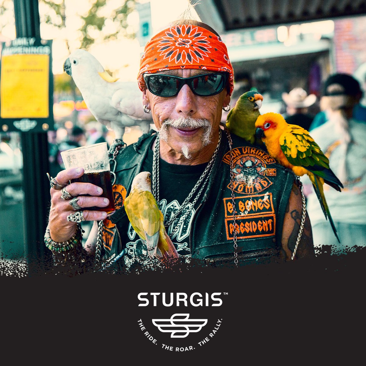 Beer, birds, and bikes. What more could you ask for? - #sturgis #sturgisrally