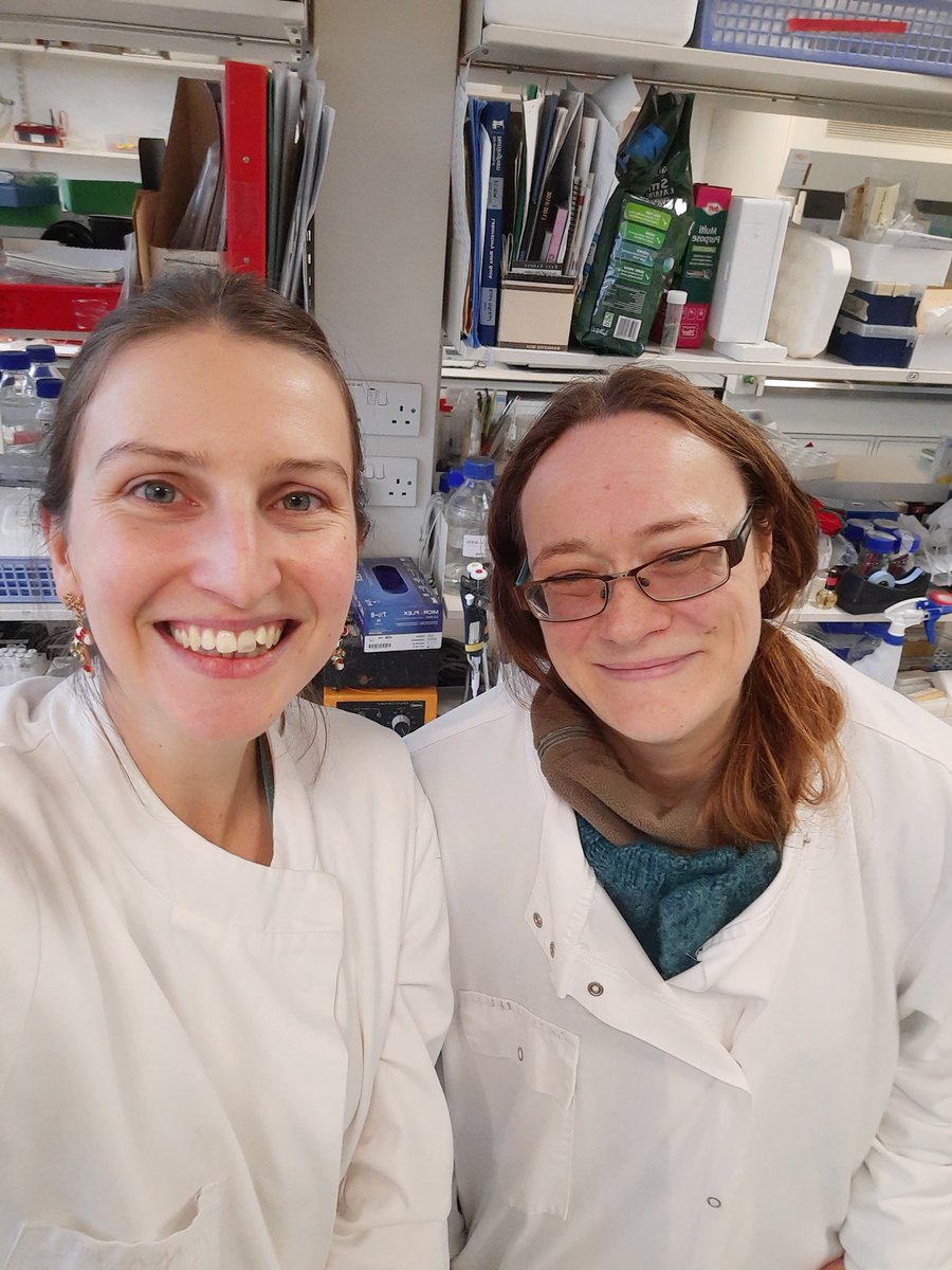 Jordan Robson (@jordankrobson) on Twitter photo Bittersweet moment today as I say goodbye to my colleagues & friends after 7 years at @PlantSciNottm <a href="/UoNBiosciences/">UoNBiosciences</a>. Thank you for all your support & kindness - most especially to Zoe, <a href="/ScienceAllyF/">Alison Tidy</a>, @ErikMurchie & <a href="/Plantyperson/">Lorna McAusland</a> for shaping me into the scientist I am today 💚 Bittersweet moment today as I say goodbye to my colleagues & friends after 7 years at @PlantSciNottm <a href="/UoNBiosciences/">UoNBiosciences</a>. Thank you for all your support & kindness - most especially to Zoe, <a href="/ScienceAllyF/">Alison Tidy</a>, @ErikMurchie & <a href="/Plantyperson/">Lorna McAusland</a> for shaping me into the scientist I am today 💚