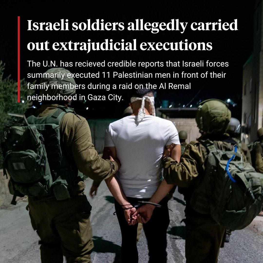 Witnesses say Israeli soldiers separated a group of Palestinian men from women and children and then killed at least 11 of the men in front of their family. The remaining family were either shot at or hit with a grenade, seriously injuring some, including an infant and a child.