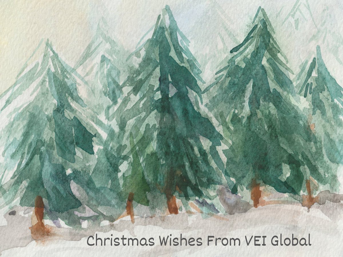 Wishing you all a very happy &amp; peaceful Christmas from the VEI Global team. This year we contributed to Cancer Care West &amp; Little Ways Cancer support in Clane. Both donations were made in memory of our wonderful team member, Niall Greene, who we very sadly lost earlier this year.