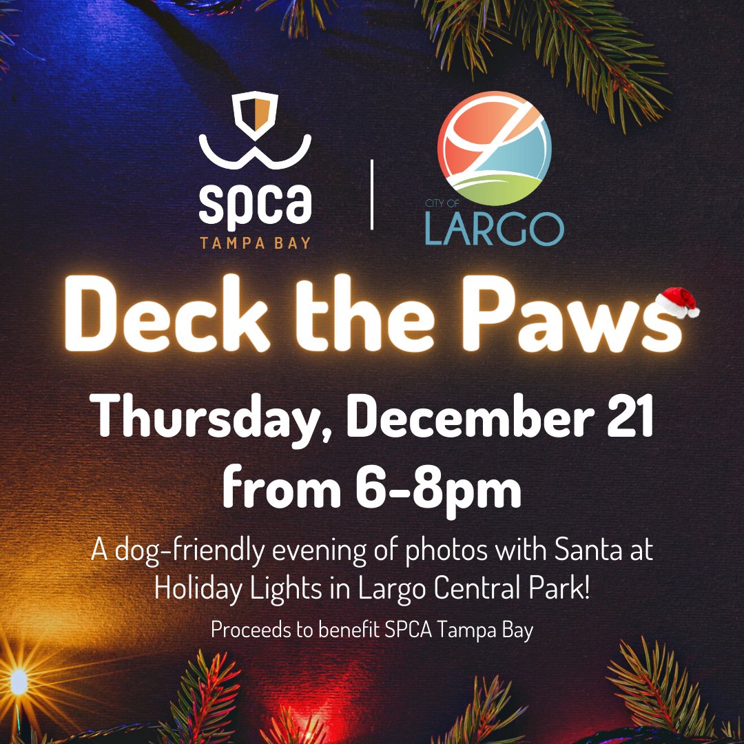 Grab your pup and join us TONIGHT in Largo Central Park to enjoy the holiday lights and photos with Santa! Photos are a suggested donation of $5 and the proceeds will benefit the animals at SPCA Tampa Bay 🐾 #HappyHolidays #AnimalShelter #Christmas2023