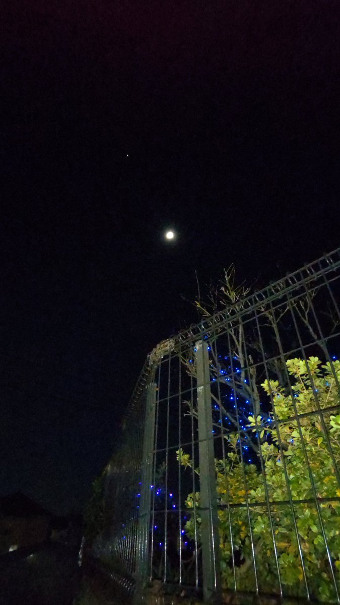 OkishioA's tweet image. 昼夜逆転生活です。体重は一時期より4キロほど落ちた状態キープ。お腹シワシワ。紛れもなく👵。今夜も🧘‍♀️で滝汗。楽しいな～。頗る元気ですよ👌

新しく買ったのは #SOURCENEXT の #AutoMemo 。感想など徐々に書いていきます。新しいガジェット、楽しい🙌。

気温は2℃。冴え渡る月の光。