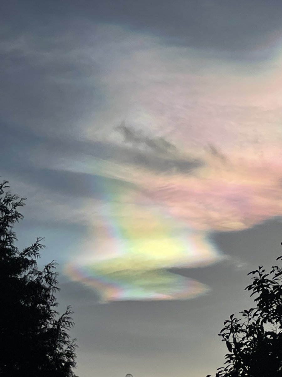 Lee Buttery tweet media