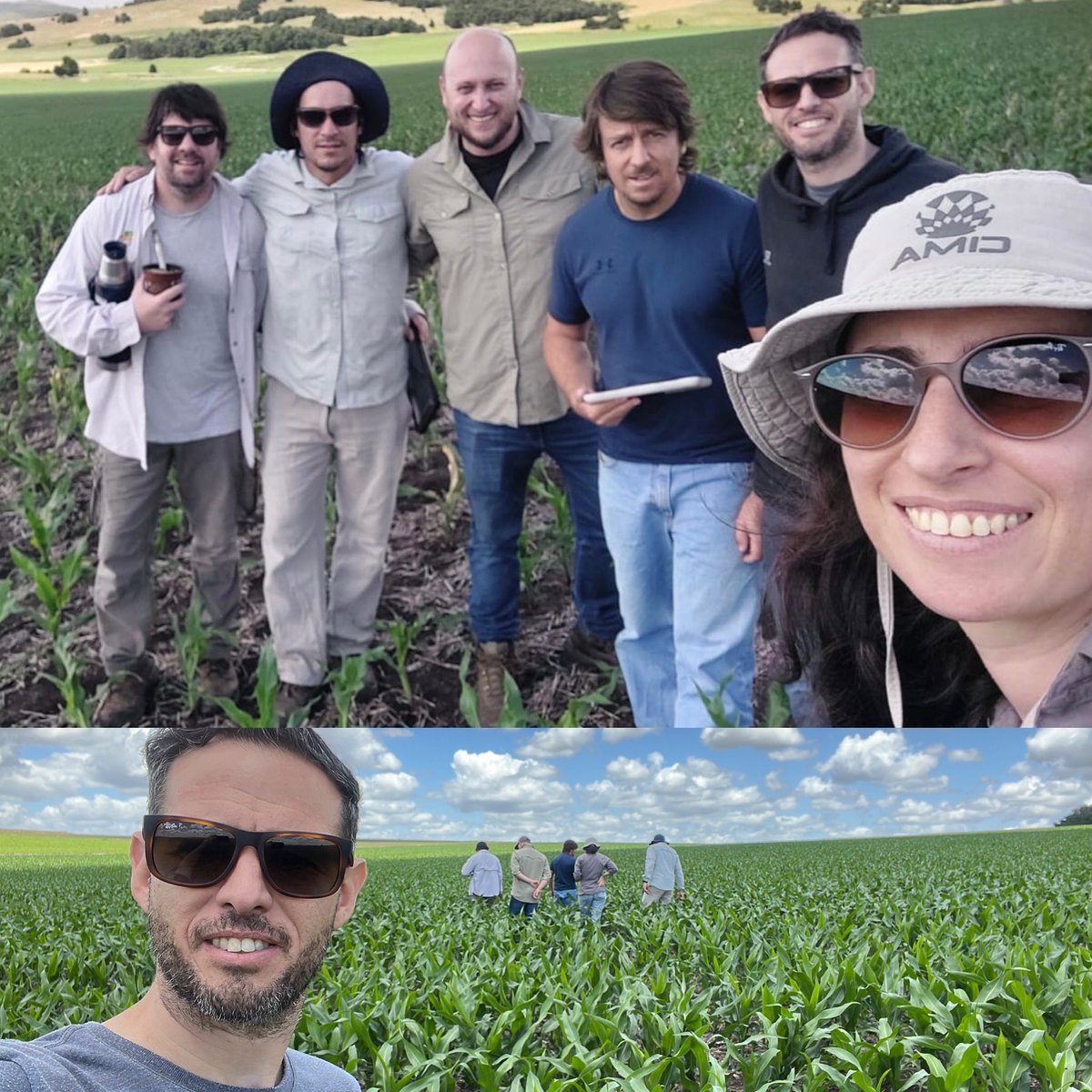 Recorrida de ensayos por el sudeste bonaerense! Visitando lotes de ProCarbono, ensayos de germoplasma, prácticas agronómicas….Impecable como viene el maíz en la zona de Tandil .