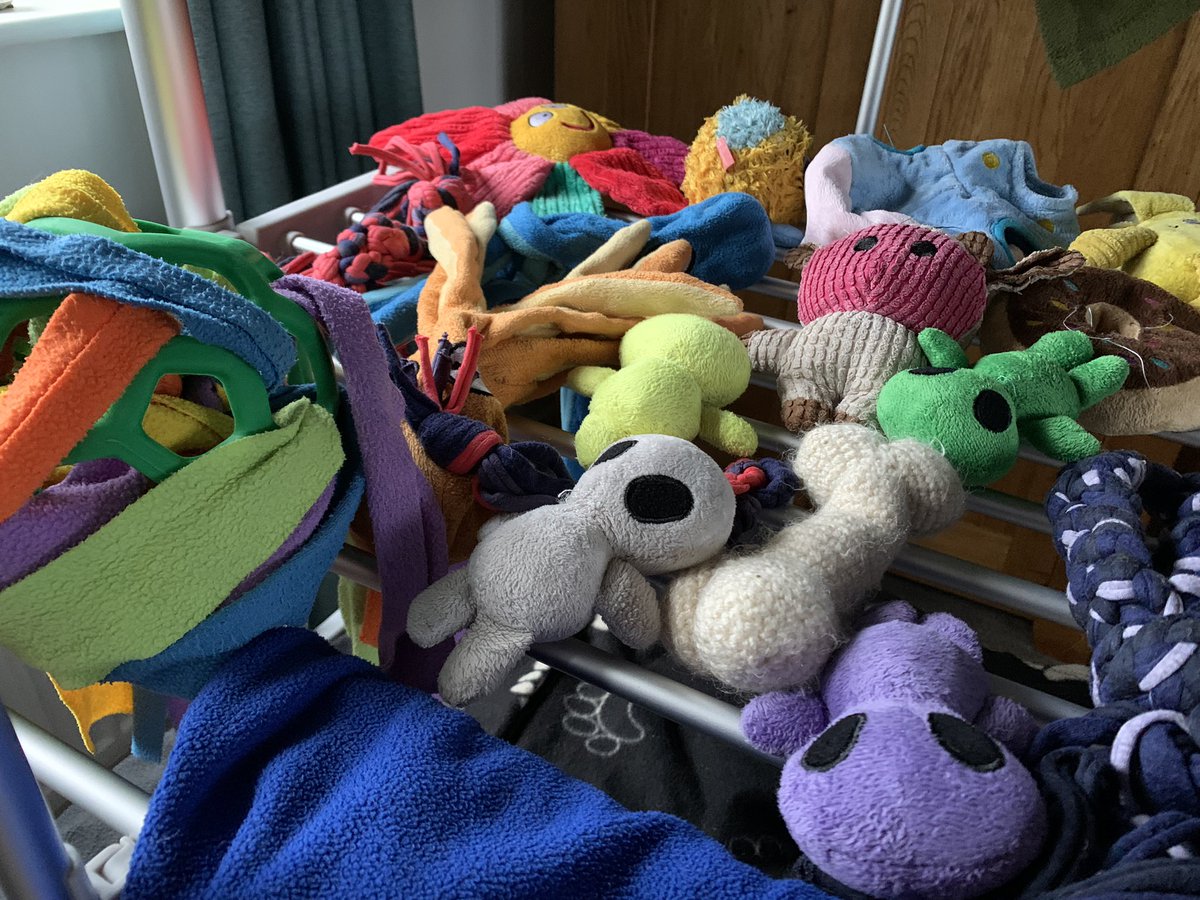 #3GoodThings 

1. Finally tracking down dark chocolate oranges for Christmas 
2. A wonderful “loaded fries” lunch in the glorious old market
3. Laughing when I dropped my toffee in the bath!
4. A lolly-reset worked wonders on an over-stimulated teen 
5. The dog toys are clean