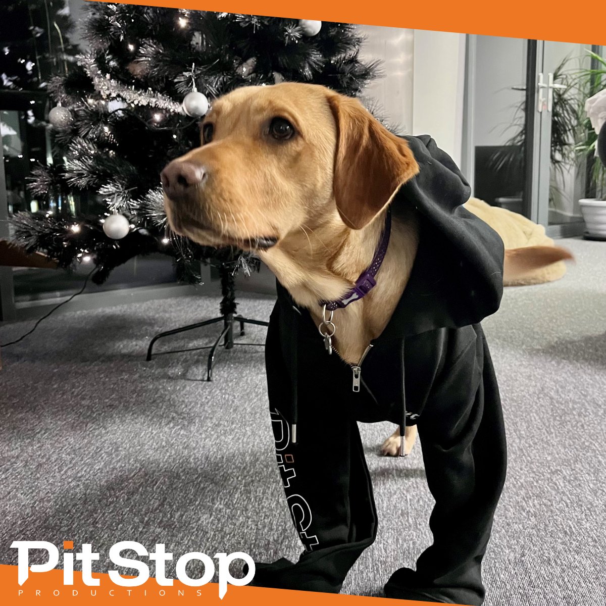 We're signing off 2023 by wishing you all Happy Holidays from our newest team member... Maggie! Maggie's showing off some of our brand new merch Santa brought the team this year, and she wishes you all a Merry Christmas, and a Paw-some 2024! 🎮 🧡