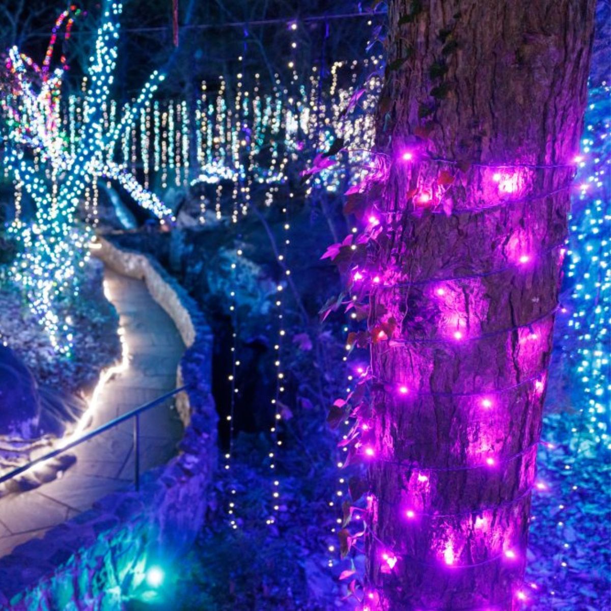 The Arctic Kingdom is a favorite among guests at the Enchanted Garden of Lights. Which realms of wonder will you explore on your visit? The magic awaits! Reserve your tickets now at seerockcity.com.