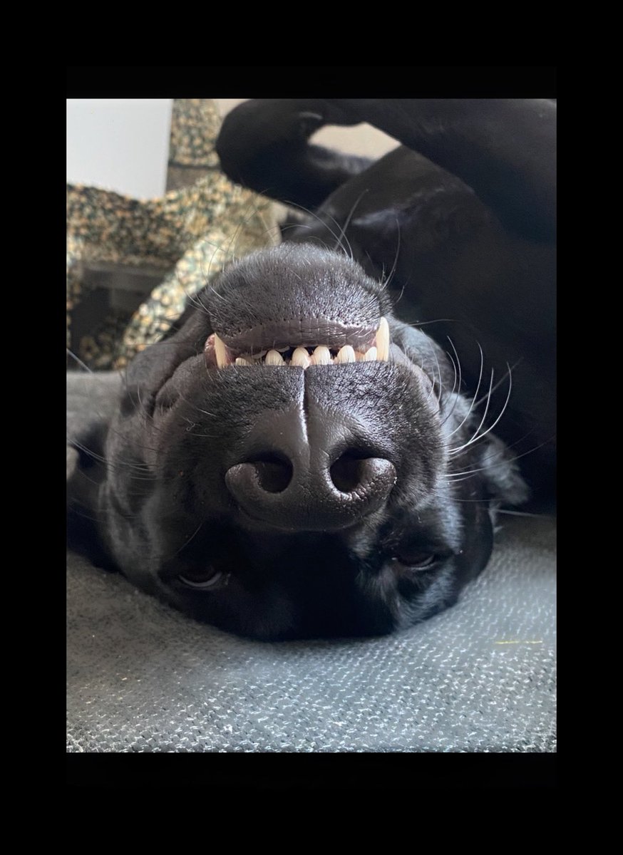 FRiiKKE (@friiikke) on Twitter photo 