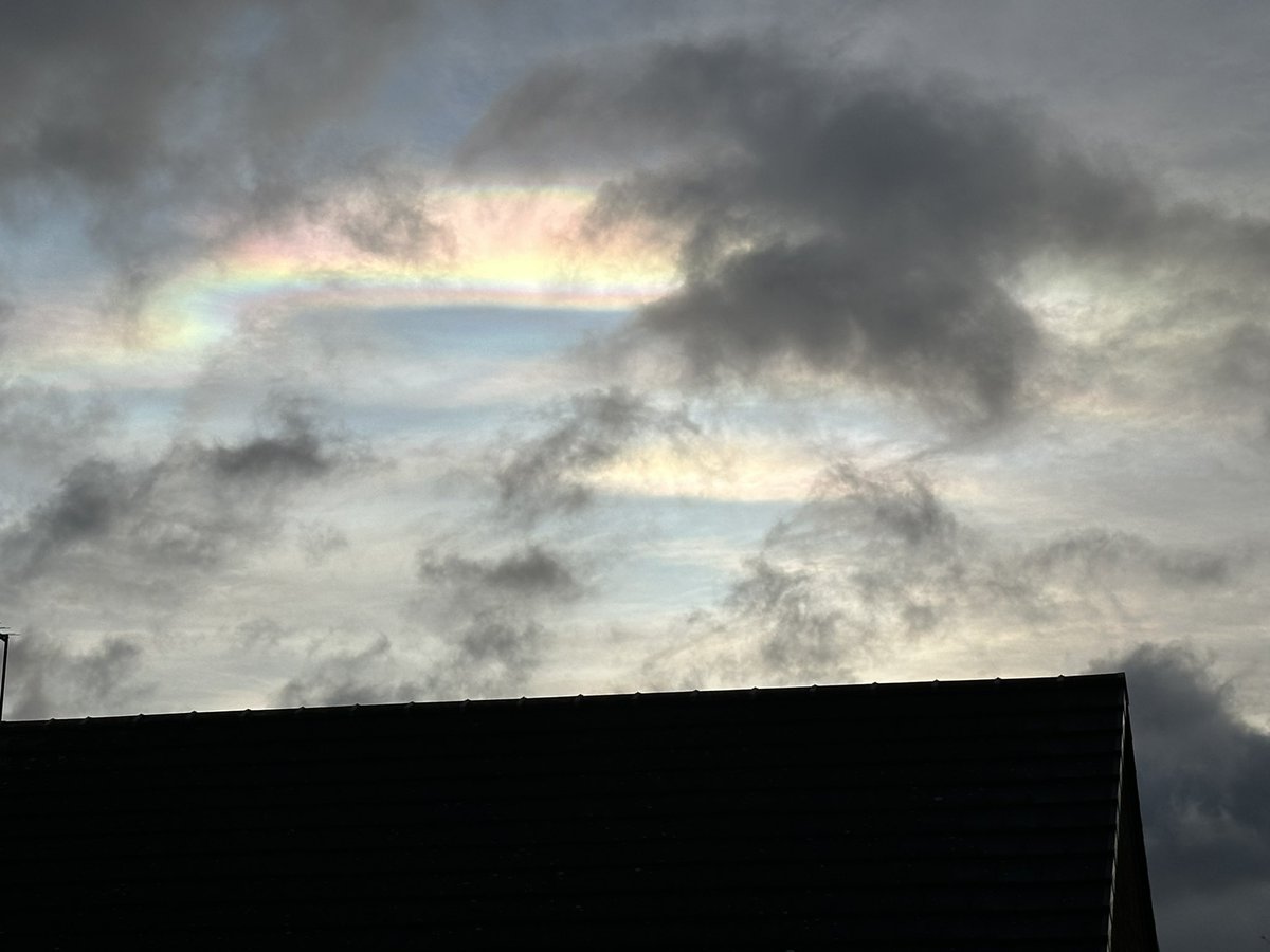shelly2202's tweet photo. @MarkVogan hi Mark, saw these in South Yorkshire this morning . Can you tell me what they are please.  They were actually more striking than the photo shows. https://t.co/y24D852ZqX