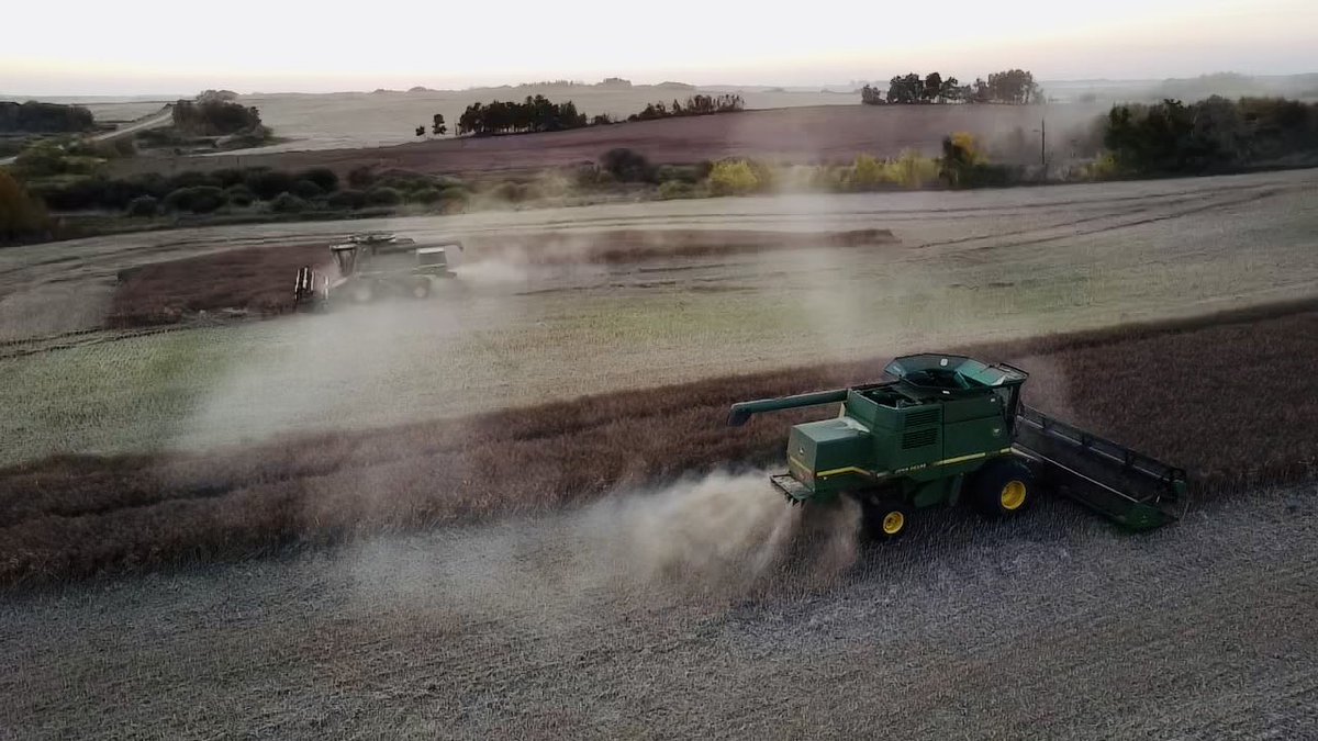 Tom Kieper tweet media