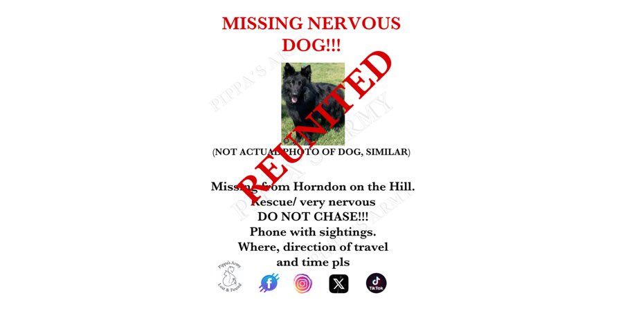 Pippa's Army (@pippasarmy) on Twitter photo Very pleased to say she was trapped safely this evening ❤️ <a href="/DogLostUK/">DogLost</a> <a href="/SAMPAuk_/">Stolen&Missing Pets</a> <a href="/MissingPetsGB/">Missing Pets GB</a> <a href="/Lorrain90964806/">Lost pets missing and stolen</a> Very pleased to say she was trapped safely this evening ❤️ <a href="/DogLostUK/">DogLost</a> <a href="/SAMPAuk_/">Stolen&Missing Pets</a> <a href="/MissingPetsGB/">Missing Pets GB</a> <a href="/Lorrain90964806/">Lost pets missing and stolen</a>