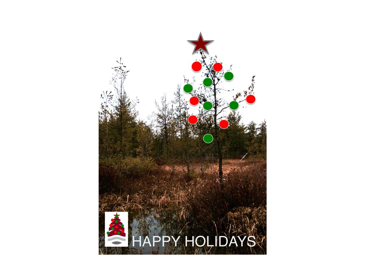 Happy holidays from the McMaster Ecohydrology Lab.

A snow-free site #415 
(NOBEL water and carbon observatory) 
#PeatTwitter