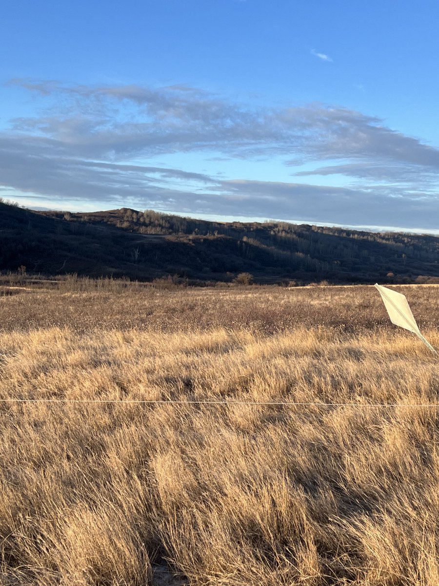 Winter feed and water. Ice is getting deep.