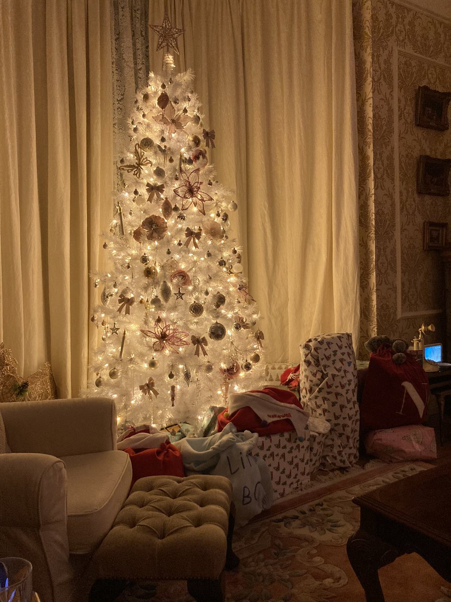 It’s beginning to look a lot like Christmas 🤶 next year I will have a beautiful grandson to share it with ❤️😊 am a happy lady