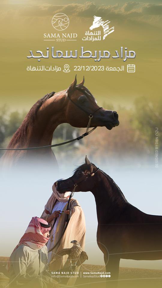 .

.

لكل من يبحث عن خيول عربية مميزة ، مزاد مربط سما نجد الأول يقدم نجوم و أبطال و منتجين أبطال في فرصة نادرة من الصعب أن تتكرر

عدد كبير من الأفراس و المهرات المميزة ، إحداهن بطلة كأس كل الأمم و بطلة اوروبا و بطلة قطر الدولية و بطلة بولندا الشهيرة بياكولا ، 

و بسعر السوق ‼️