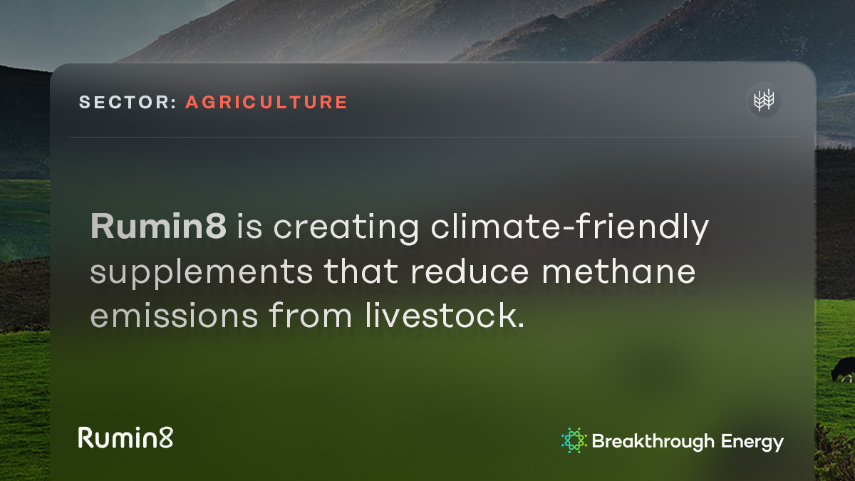 Livestock accounts for 3.7% of human-driven GHG emissions. With their innovative feed supplement, BEV portfolio company Rumin8 is helping reduce the methane emissions produced by cattle and decarbonize the agricultural sector. Learn more: nt-z.ro/48tBKwM