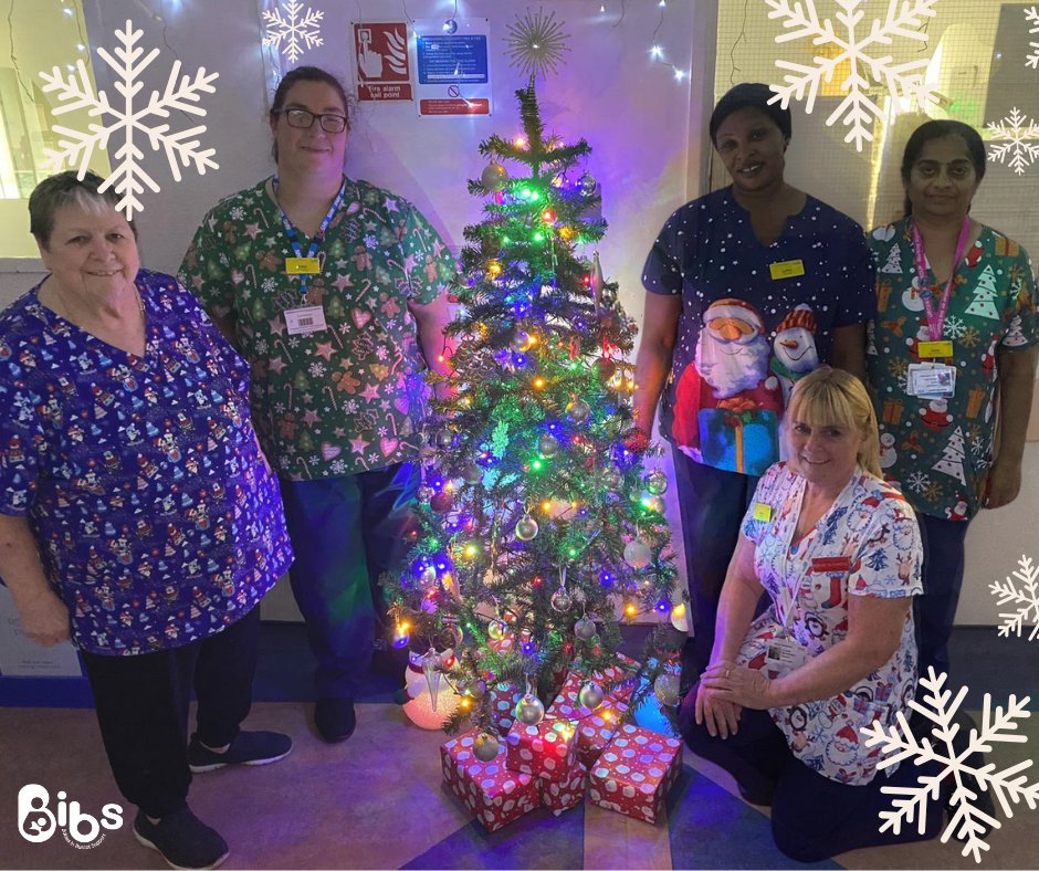 To help spread some festive cheer to the Buscot Ward, BIBS recently funded Christmas scrubs for staff to wear while on shift! #BuscotWard #Neonatal #RoyalBerkshireHospital #Christmas