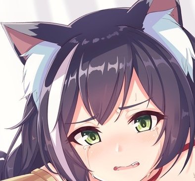 I am a (mostly) flat cat!! Why are you giving me ads for bras for ladies with fat boobs you cruel app.

I...I mean... meow.