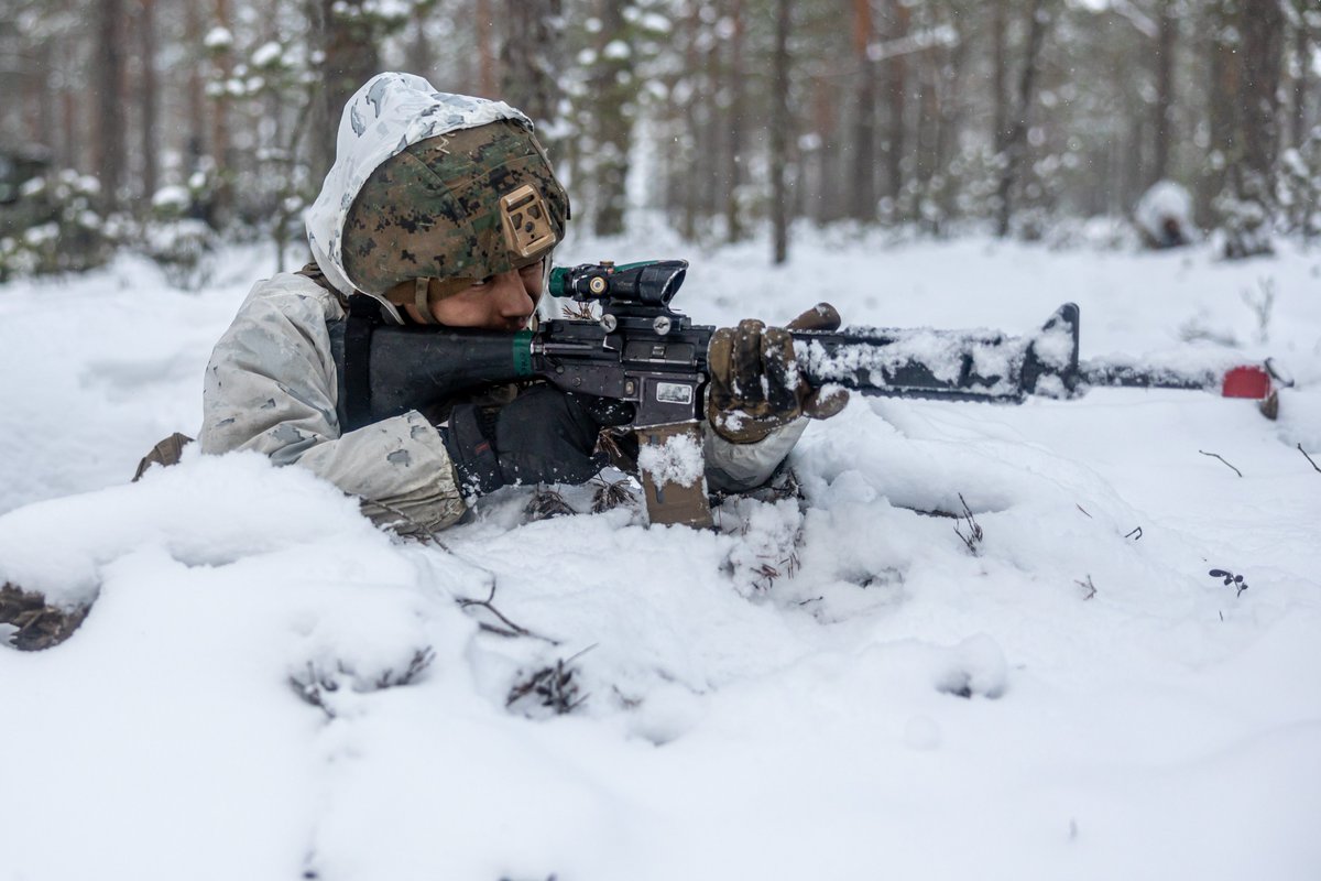 Blending In
📍Syndalen, FIN

#Marines w/ @clbsix, @2ndMLG provide security during exercise Freezing Winds 23.

(@USMC 📷 by Lance Cpl. Christian Salazar)
#Military #AlliesandPartners #CombatArms #MarineCombatArms #JointForce #ForceinReadiness #AlwaysReady #EveryClime #EveryDomain