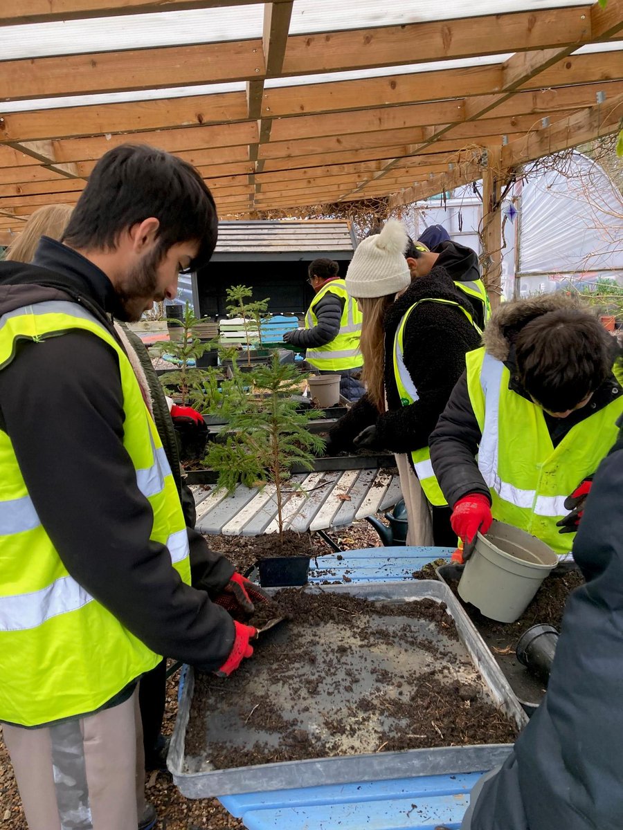 Lindengate tweet media