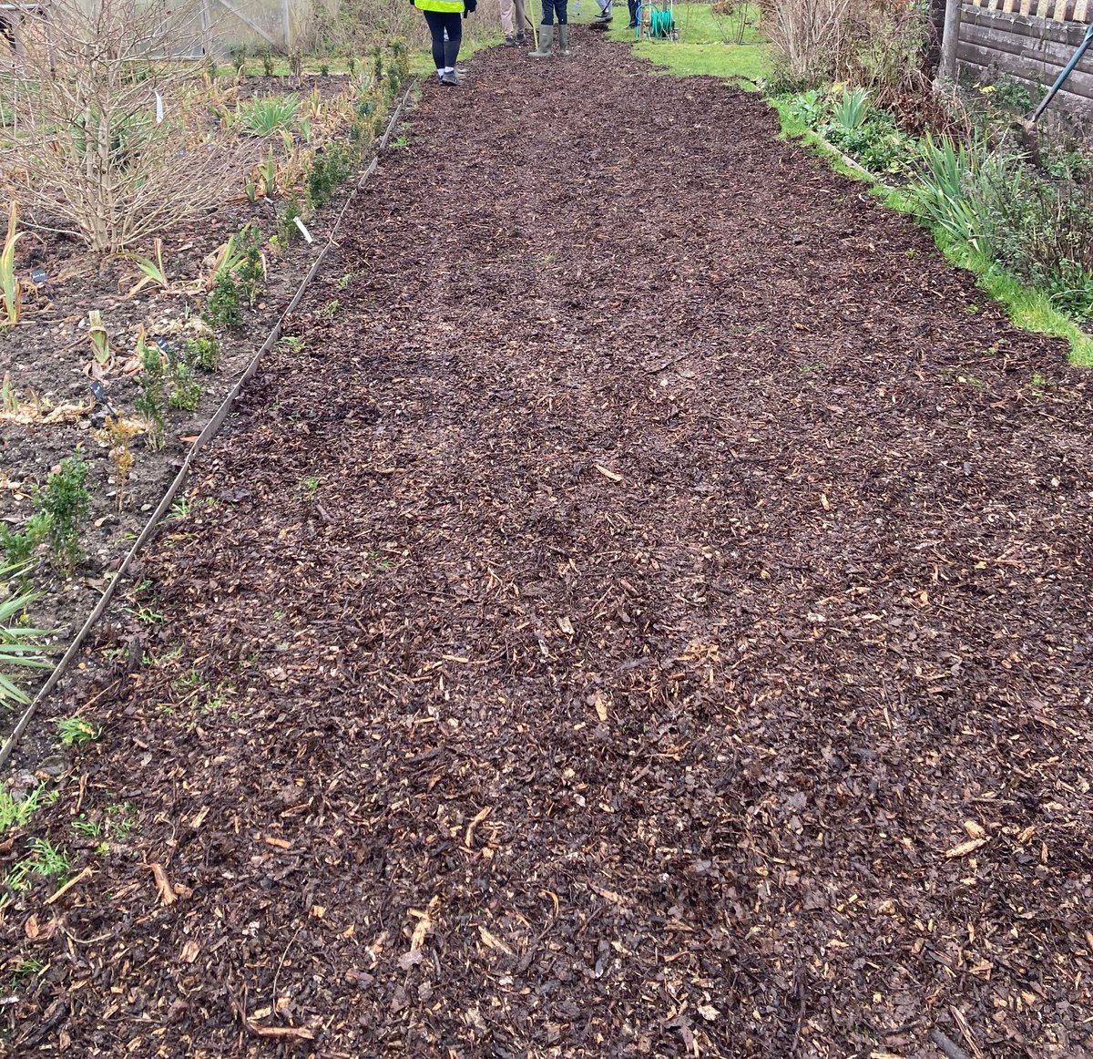 Lindengate tweet media