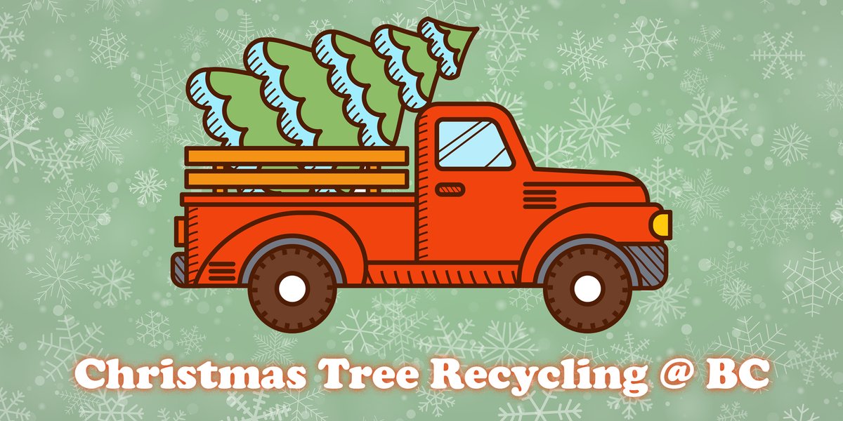 The City of Bakersfield is joining forces with Bakersfield College to recycle Christmas trees from December 26 to January 11, 2024. Trees can be delivered to the southwest parking area of our Main Campus at the intersection of Haley Street and University Avenue.