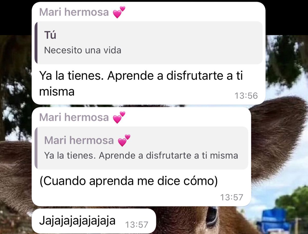 Lorena tweet media