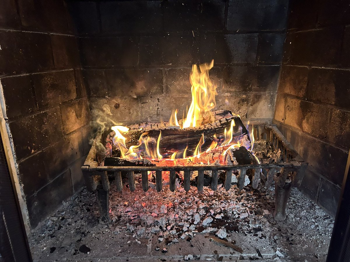 on days like today all I require is a cold beer, a good book, and a warm fire