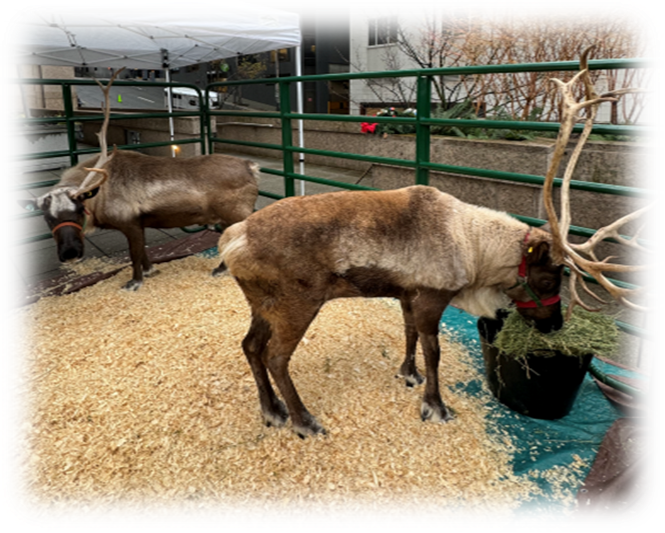 1201 Third tweet media