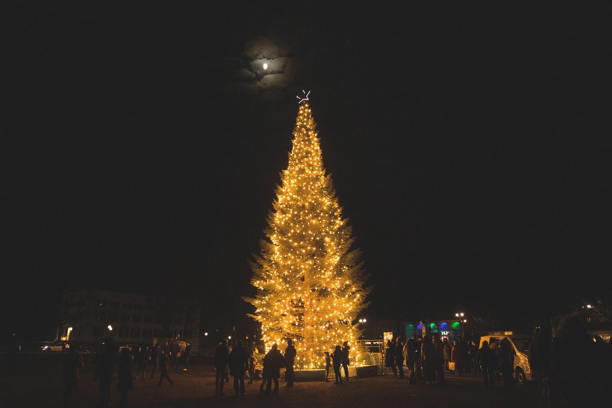 We wish everyone in the Geisel community a safe and happy holiday break!  Our offices and school will reopen in the New Year on January 2, 2024. #MerryChristmas #HappyNewYear 

📸: Katie Lenhart