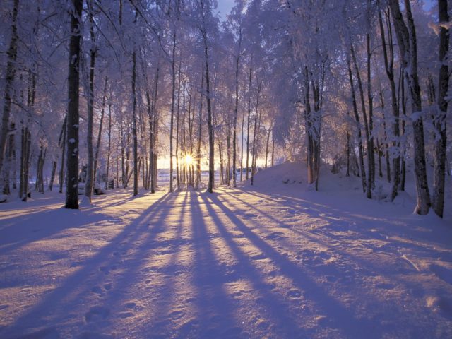 It's Winter Solstice - officially at 3.47am tomorrow morning but I won't be awake for that. Time to celebrate the fading of the darkness and the coming of the lighter nights. #HaltonHour #Solstice #SolsticeBlessings