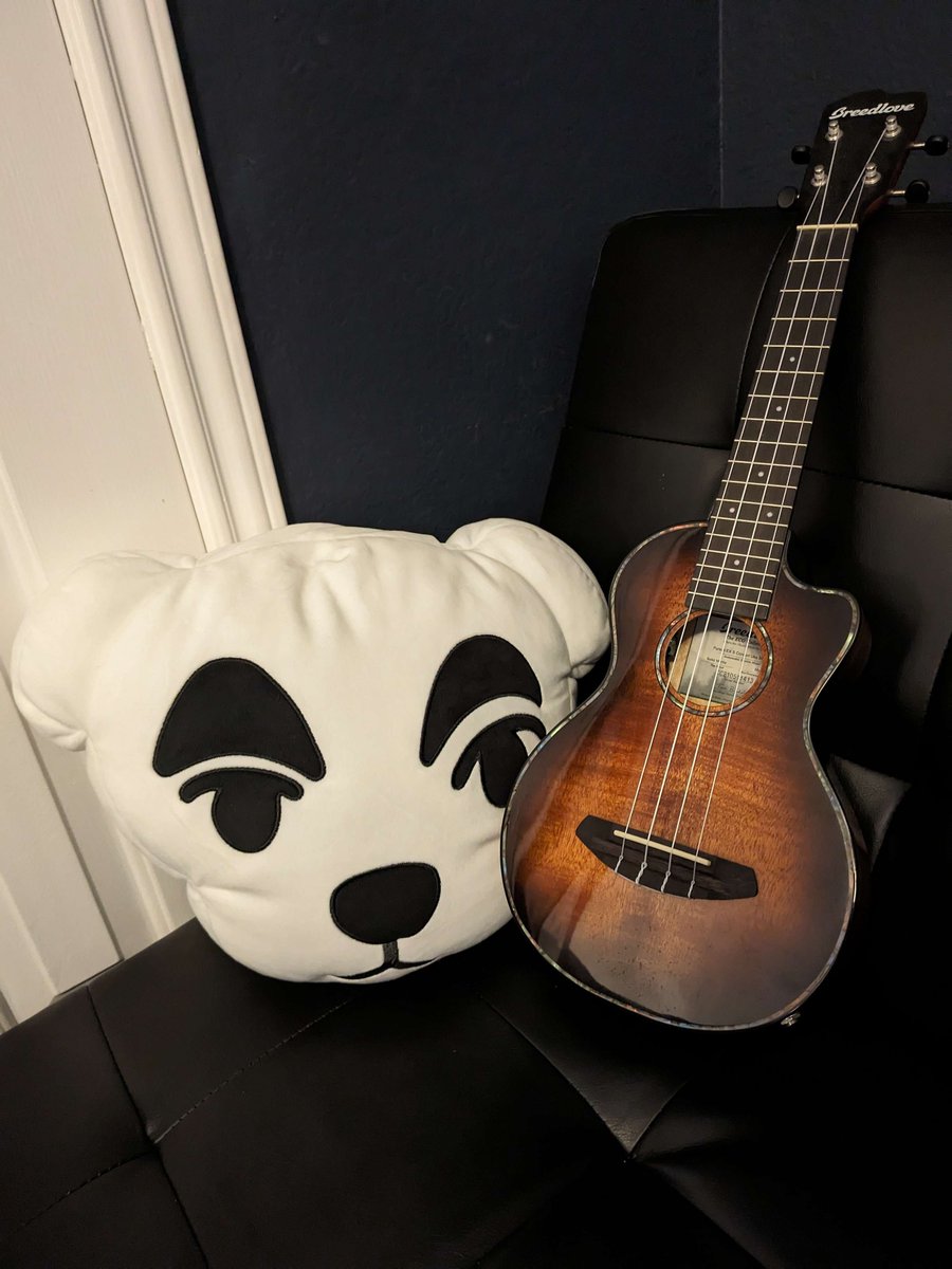 NazeehTarsha's tweet photo. @ZacharyGordon @KaggyFilms @benbevoicing Really convenient that I had a Ukulele lying around. https://t.co/Rlj1Okvqro