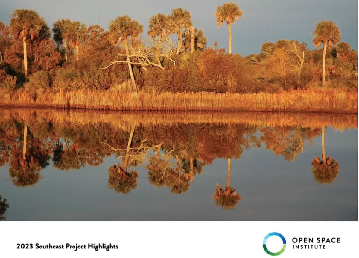 In 2023, our impact in the Southeast was monumental! OSI protected more than 9,000 acres, in the process guarding against future flooding; saving critical habitat for species too numerous to count; and protecting water quality and scenic viewsheds.

mydigitalpublication.com/publication/?i…