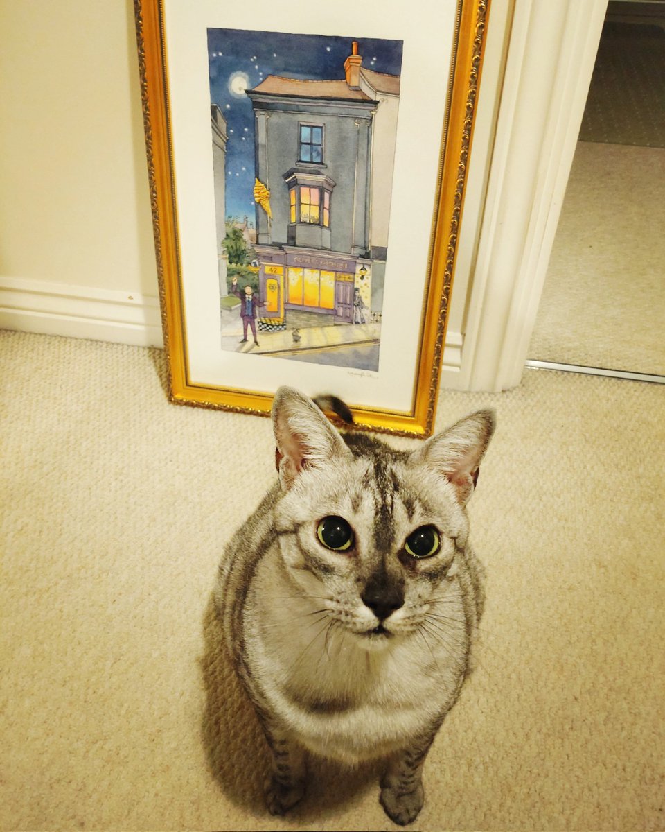 My Oliver's #Brighton watercolour has been delivered to its new home, thanks to the wonderful Claire Gratwick-Morgan! ✨️ I will never forget the 5 years of magical memories that this shop & all of my enchanted customers gave me! 💜