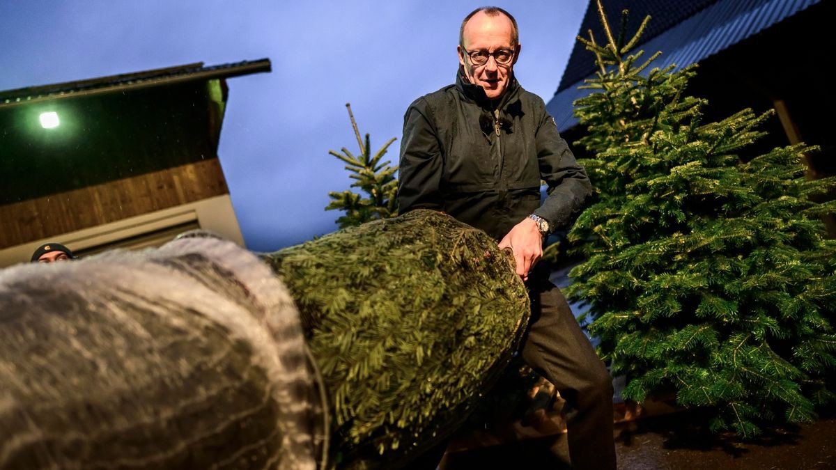 Der Typ hier wollte mir gerade auf dem Rewe-Parkplatz einen Weihnachtsbaum aufdrängen